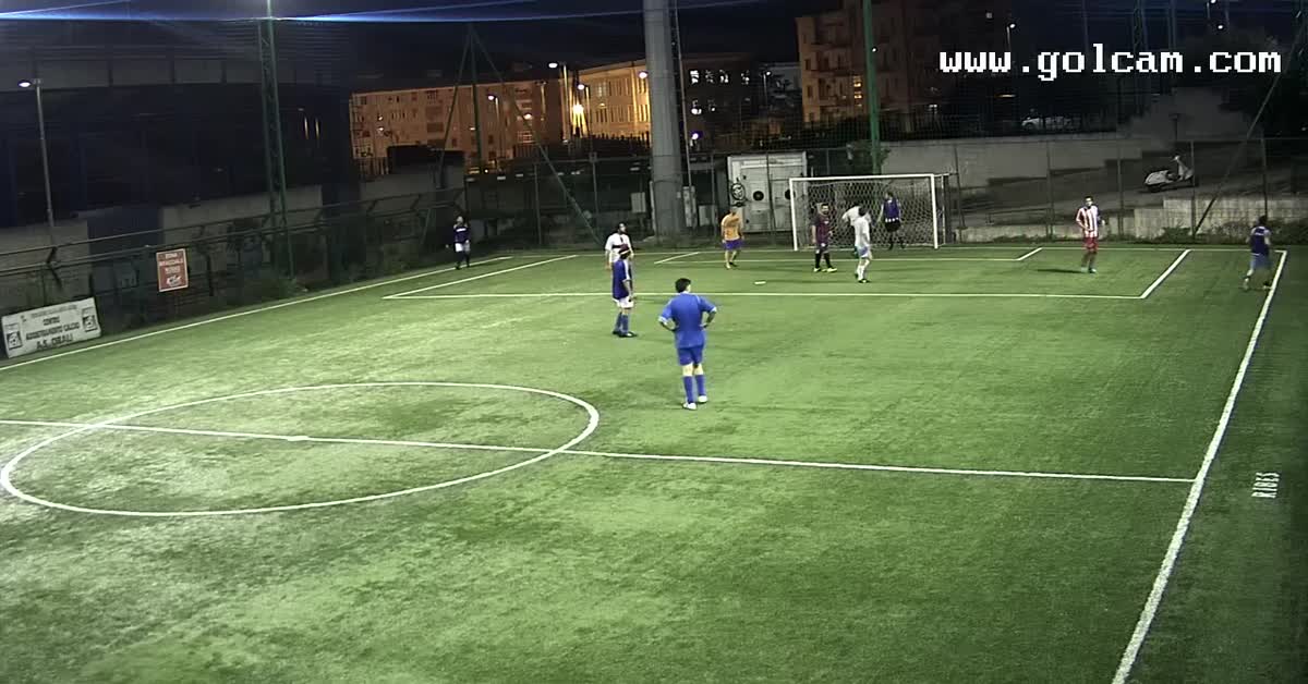 Guizzo opportunusta