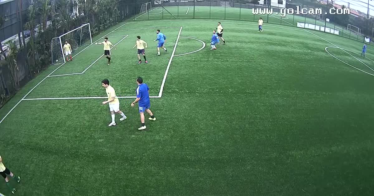 Quasi goal 