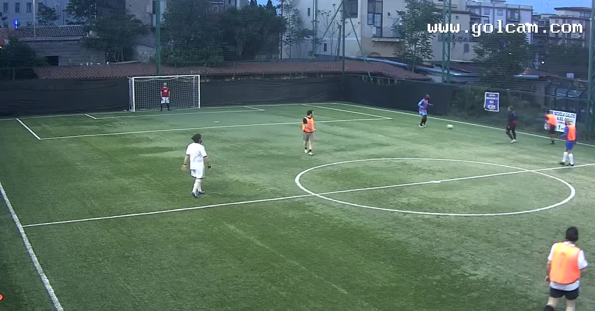 Dribblinseccoegoal
