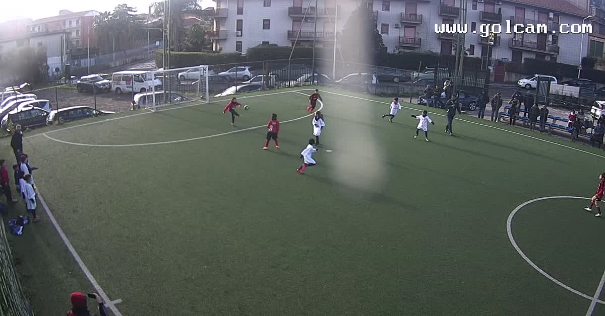gol ale
