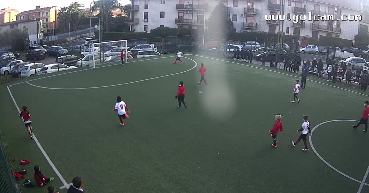 Gol Ale