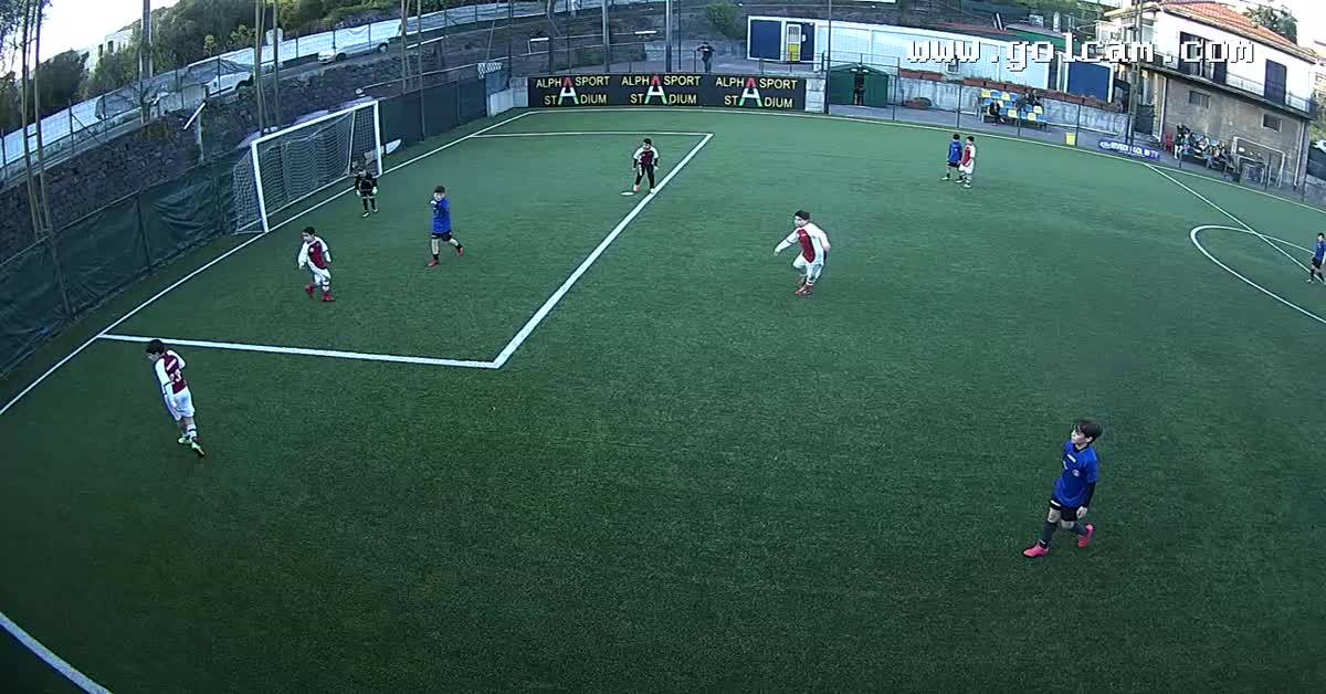 Gol leo
