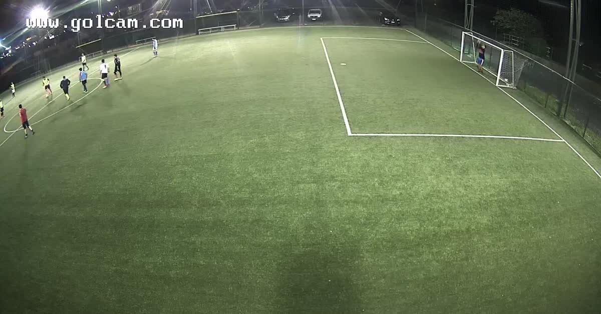 Goal 4