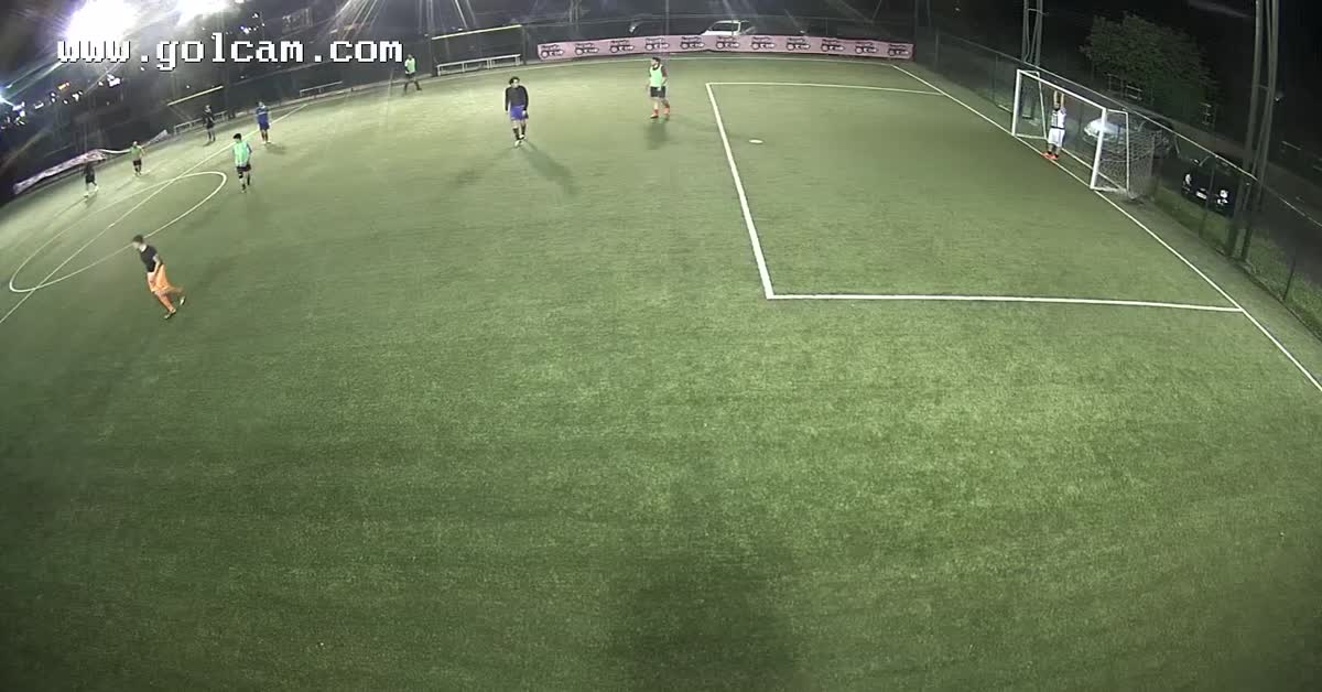 Goal 8