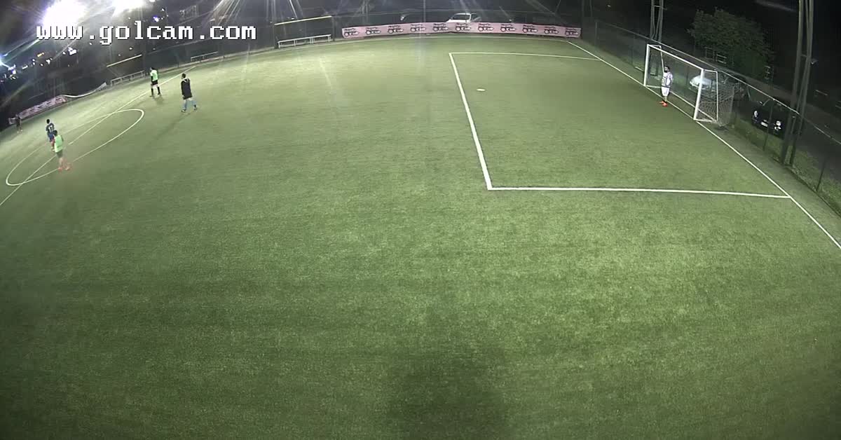 Goal 9