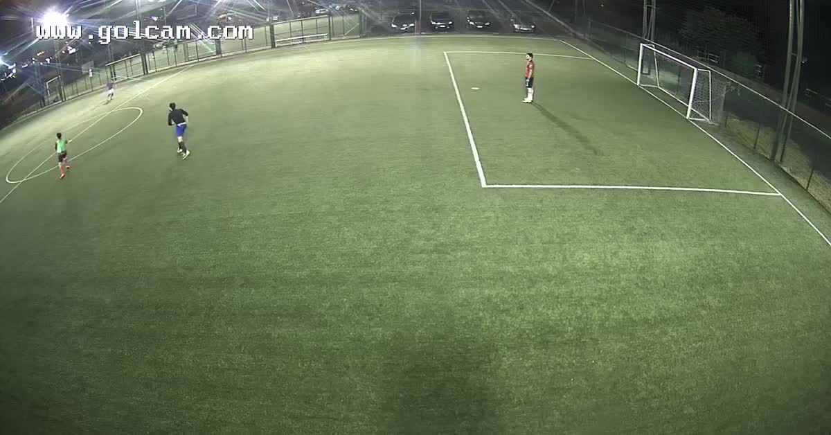 Goal 12