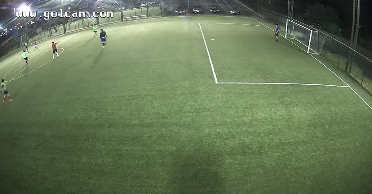 Goal 13