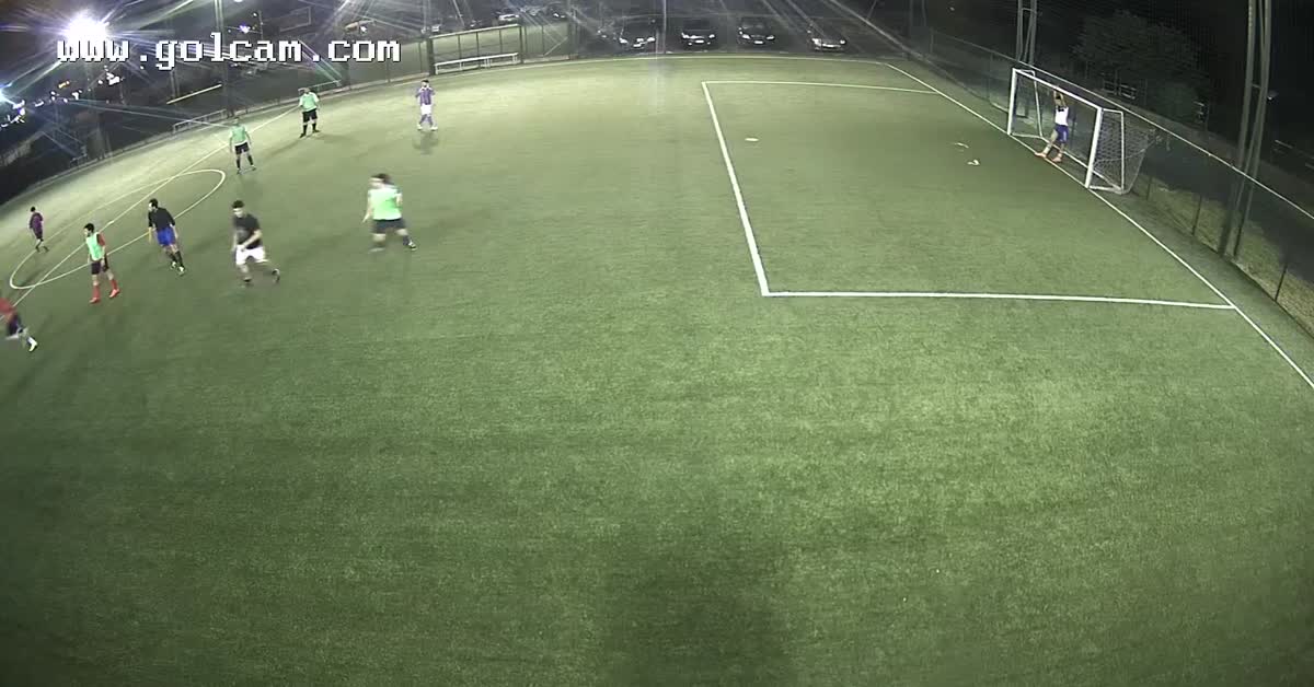 Goal 15