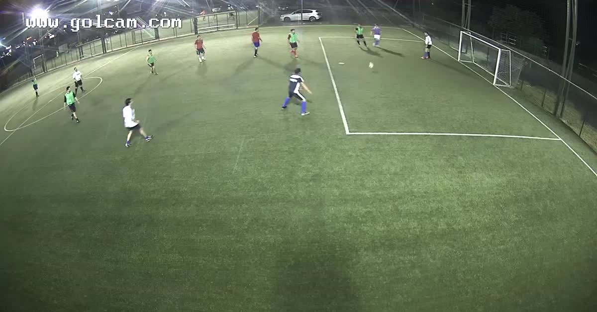 Goal 17