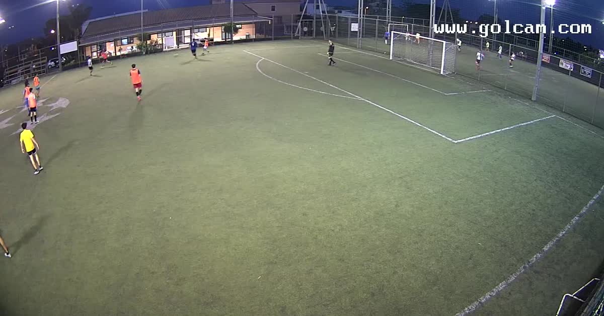 Palo-gol 
