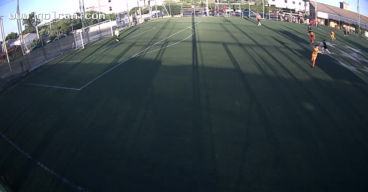 gol mio