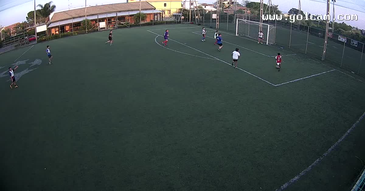 Dribbling  viki