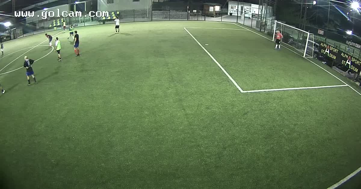 Gol gatto