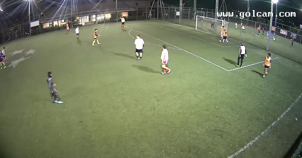 Tiro al volo