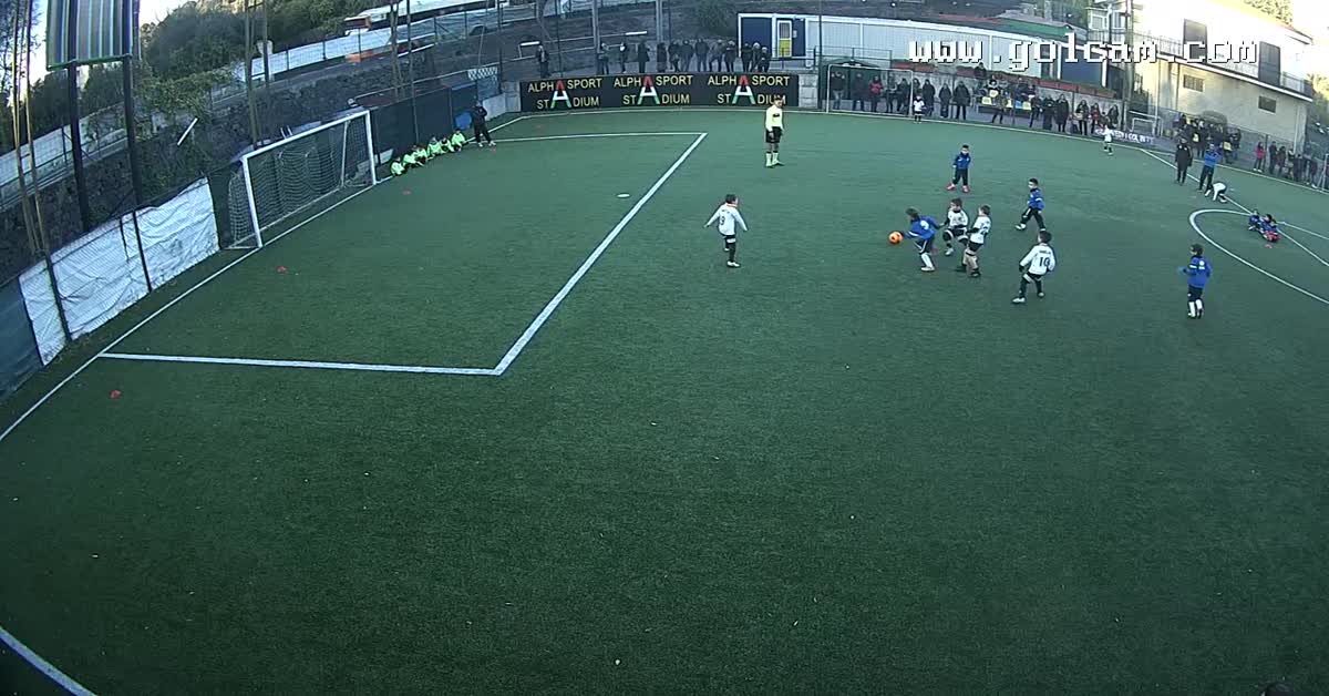 Gol gol