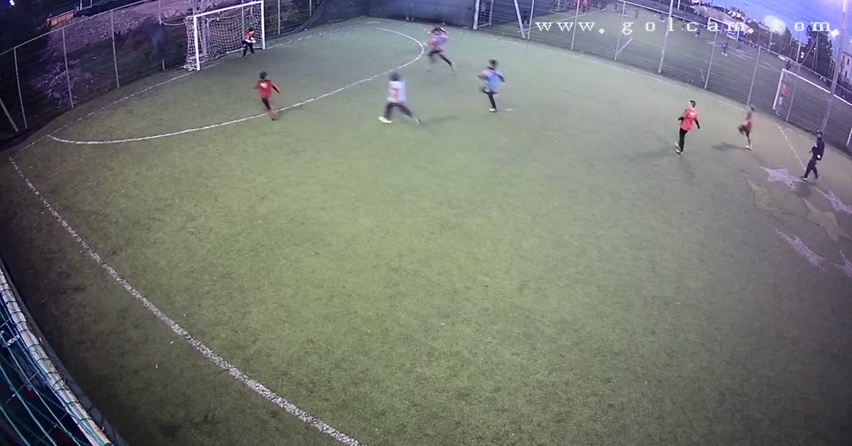 Palo gol