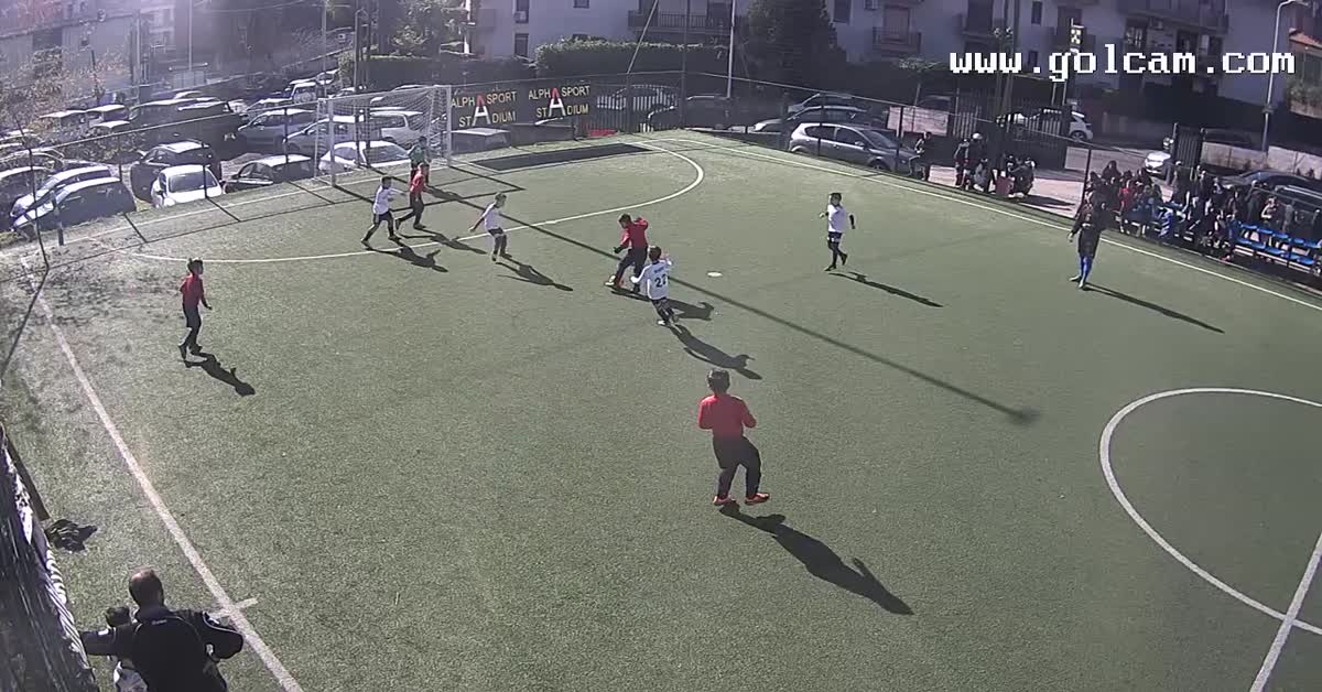 Matteo alpha sport