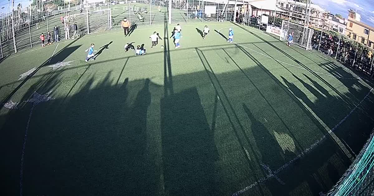 6 goal vi 2011