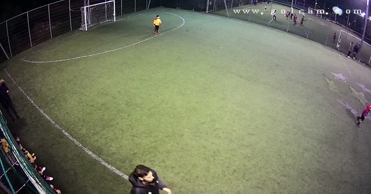 4 goal vi 2010
