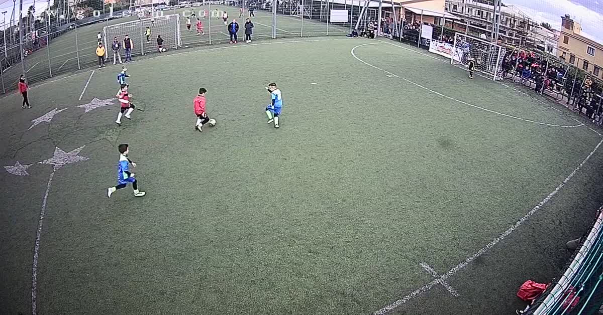 Tiro al volo