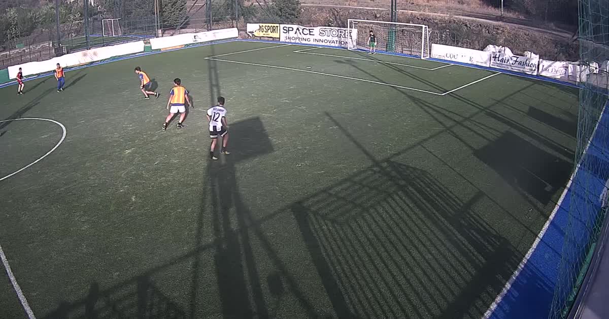 Papera di stefano