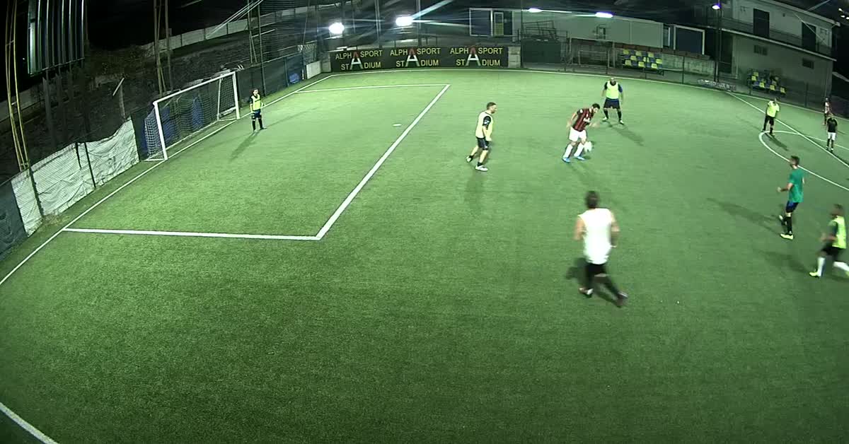 Gol leo