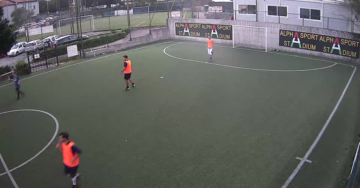 Palo gol 