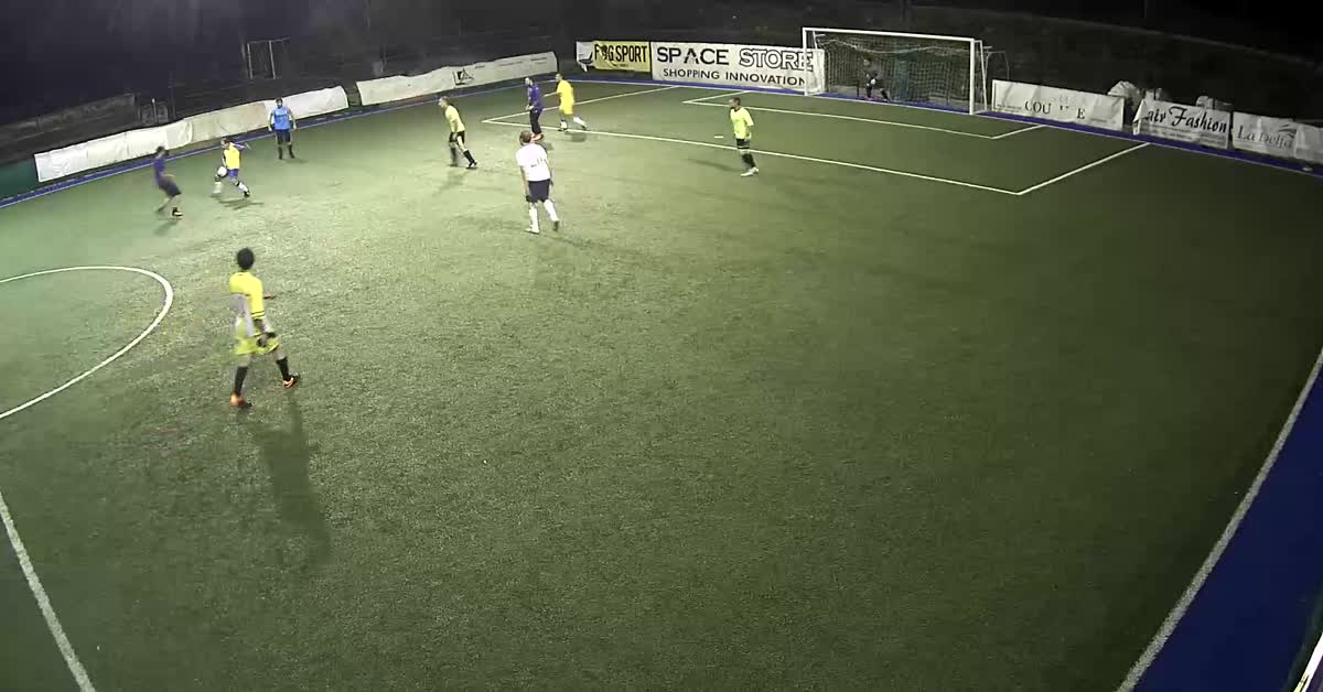 Quasi goal