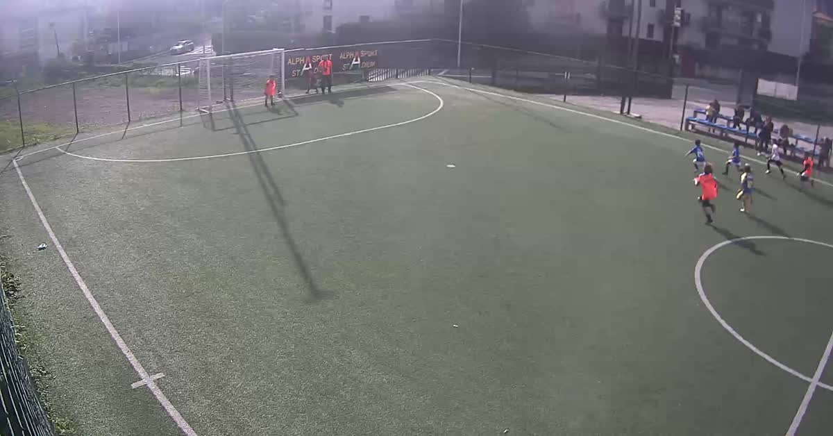 Gol 5