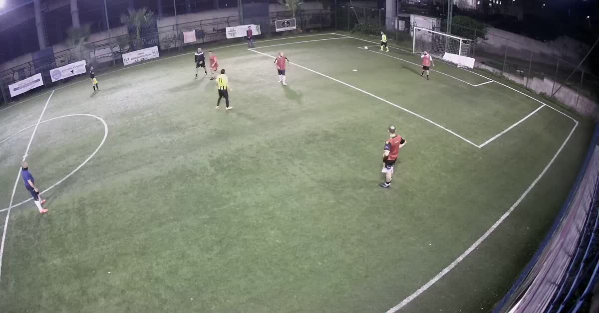 Gol micio
