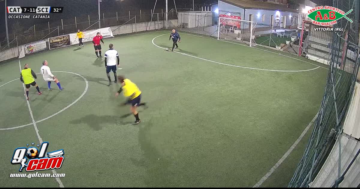 Palo mio