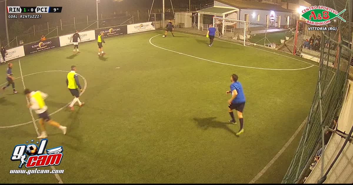 Goal 1