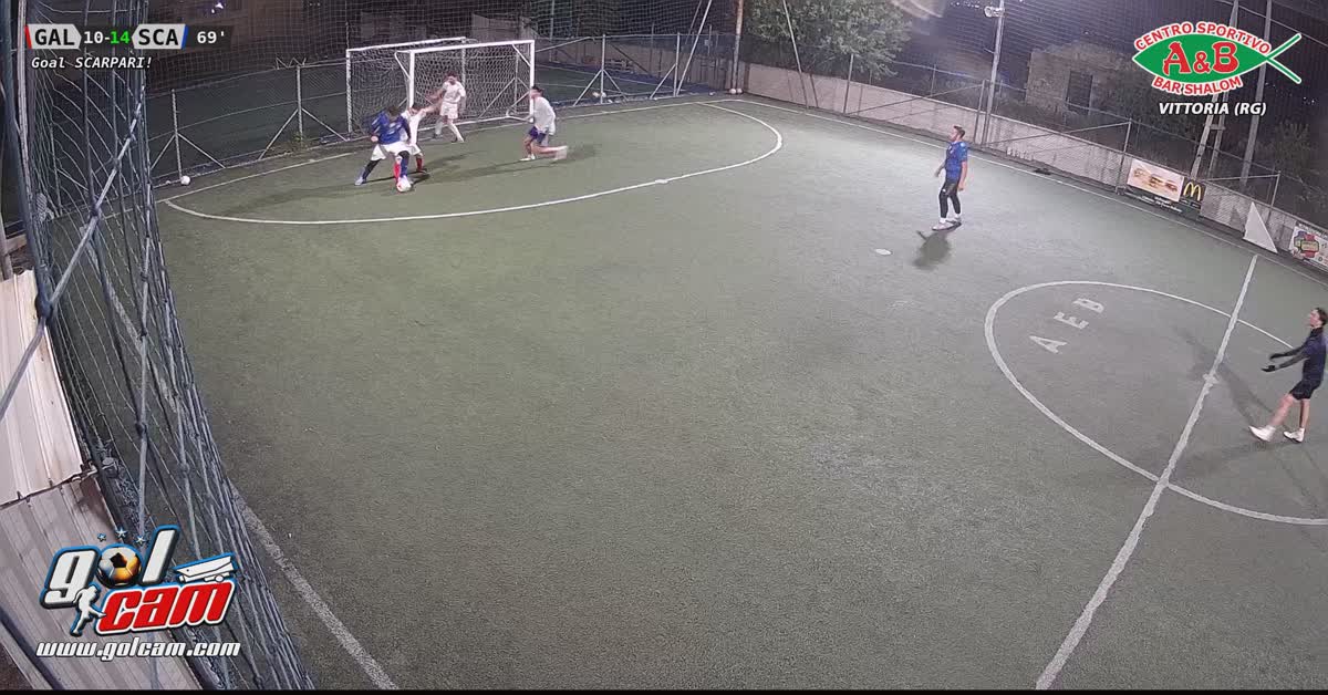 palo-goal 