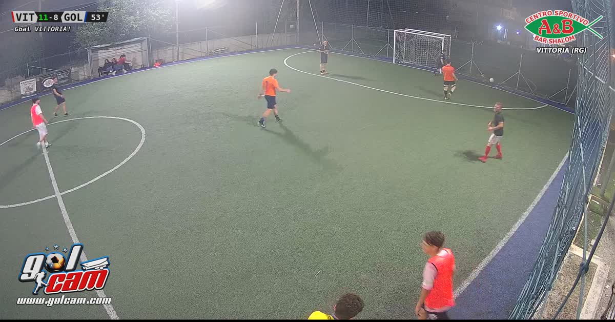 Goal 11