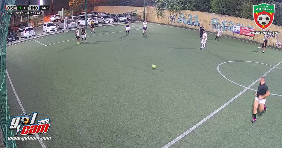 Tiro al volo