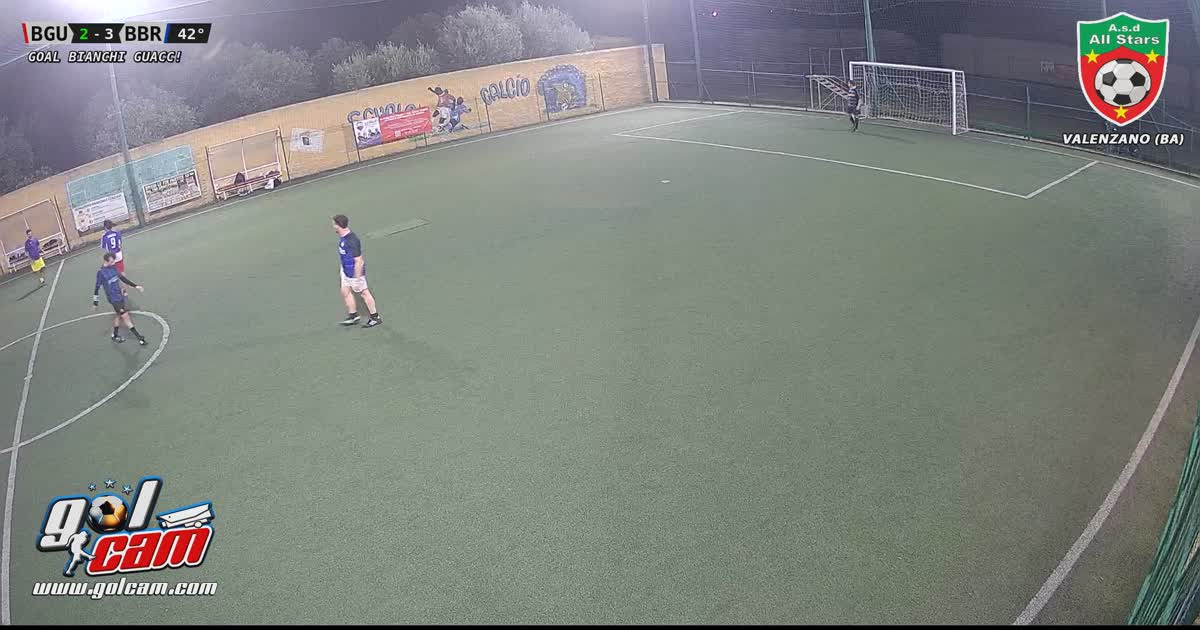 GOAL 1