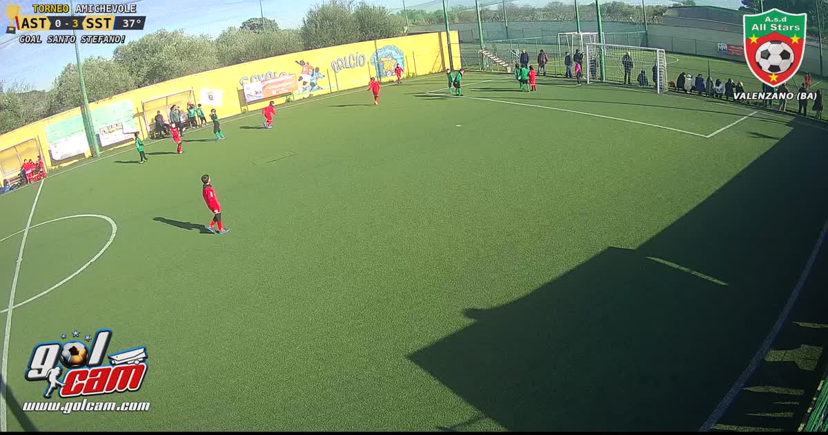 Gol del toro 1