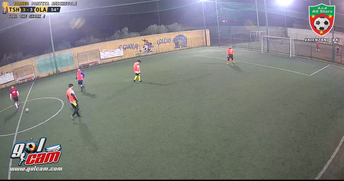 Gol6scartoportiere