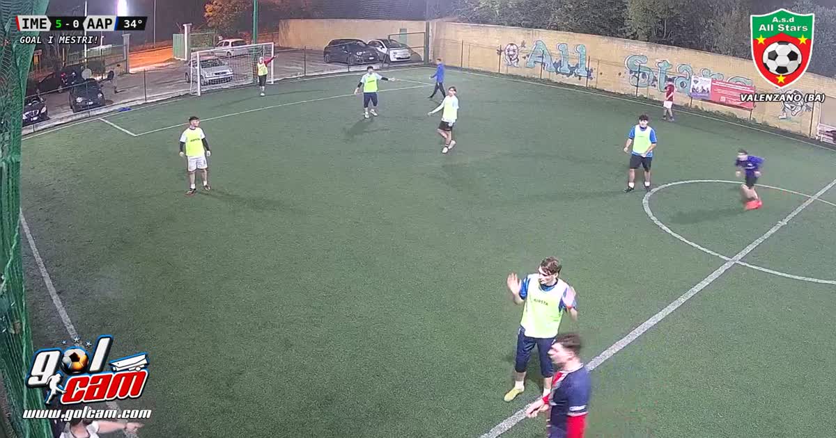 Terzogoal