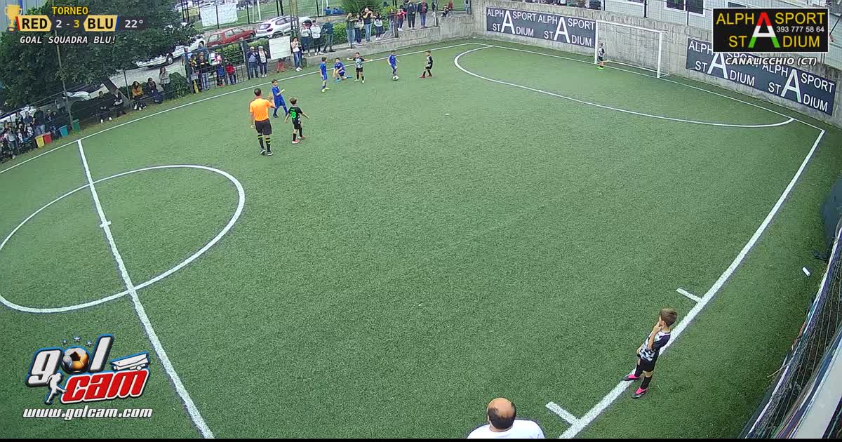 Team sport