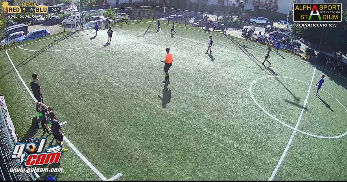 Team sport