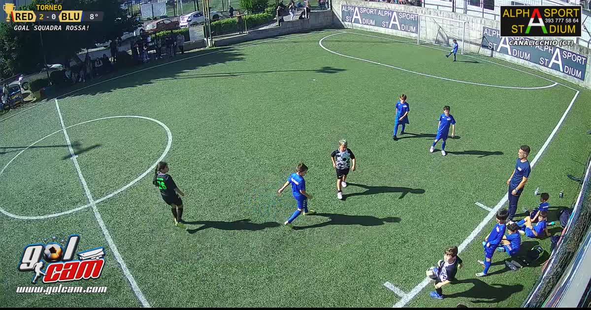 Dami gol