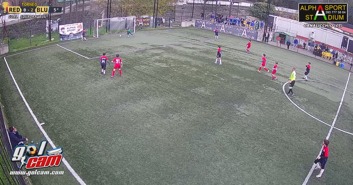 Goal 7 Alek