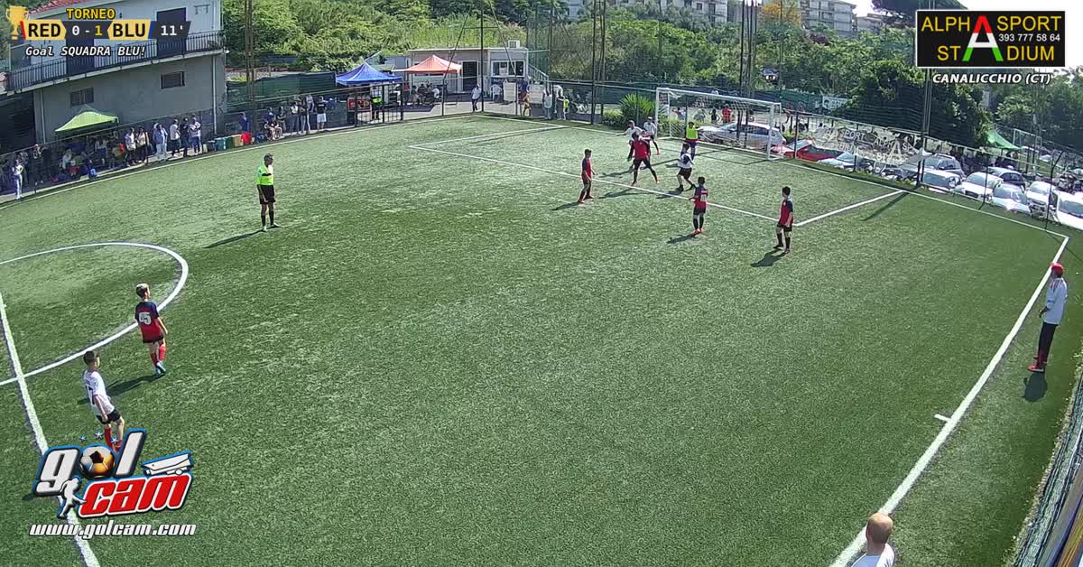 Dami gol
