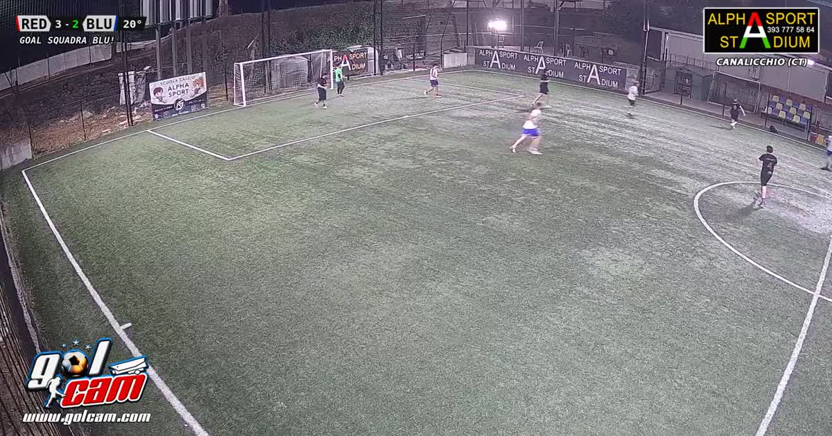 dani gol top