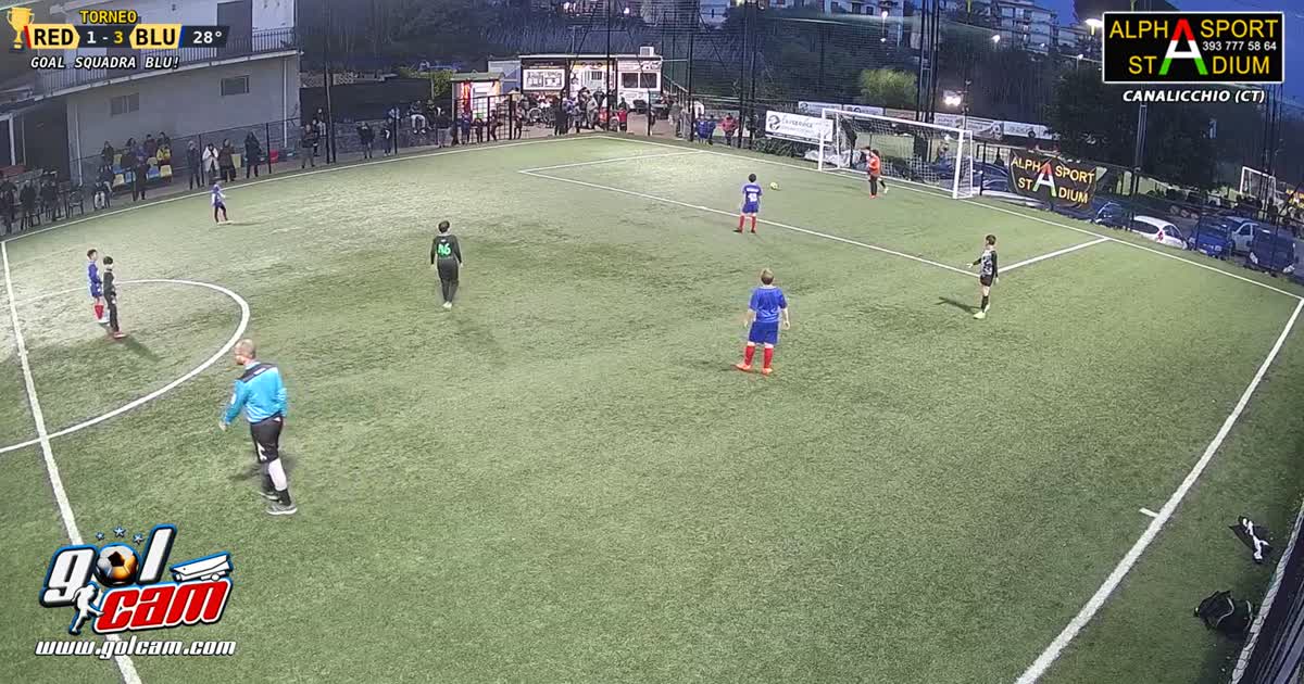 Gol bruno