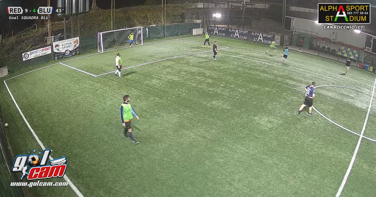 Gol ale