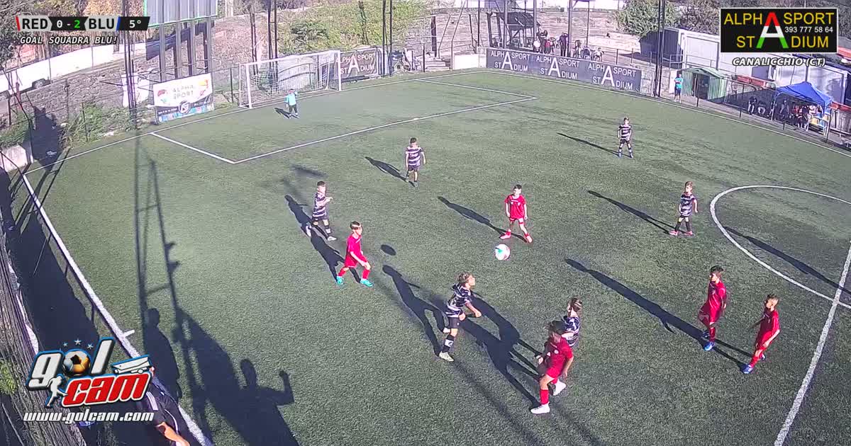 torneo