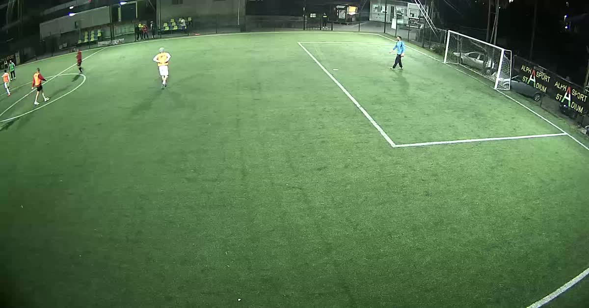 Goal sulla linea di porta
