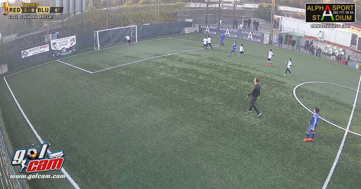 3"goal